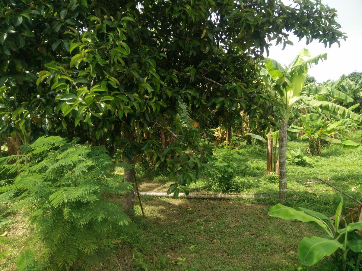 Deva Garden Resort Prachinburi Eksteriør bilde