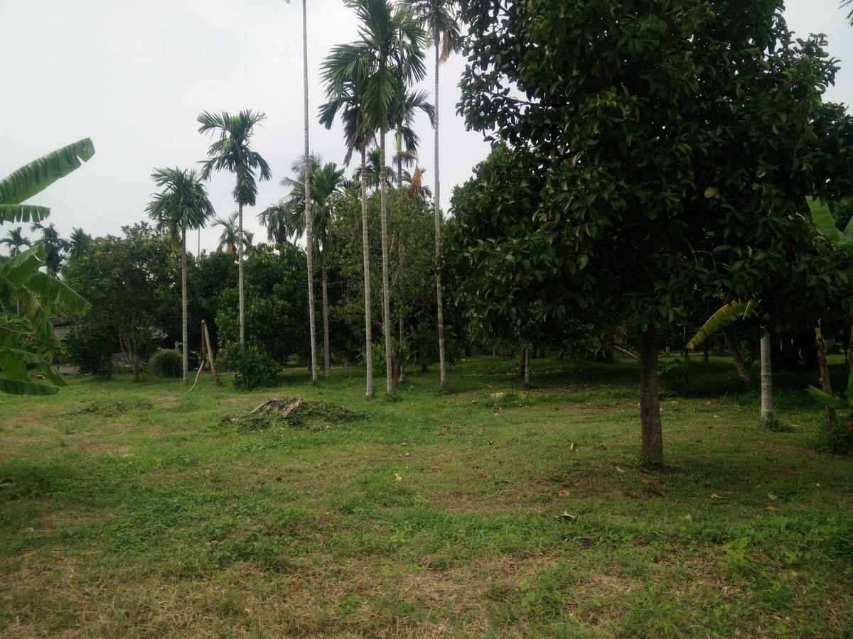 Deva Garden Resort Prachinburi Eksteriør bilde