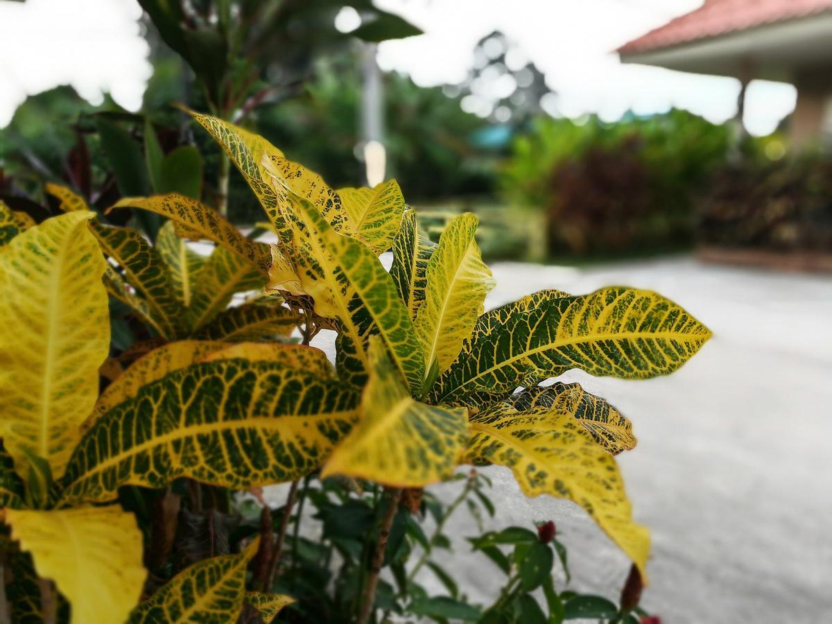 Deva Garden Resort Prachinburi Eksteriør bilde